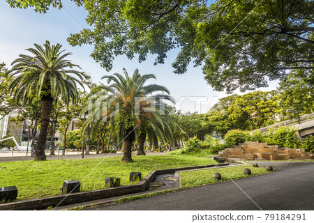 <<愛知縣>>名古屋市容白川公園 79184291