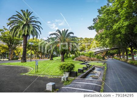 << Aichi Prefecture >> Nagoya cityscape Shirakawa Park << Aichi Prefecture >> Nagoya cityscape Shirakawa Park 79184295