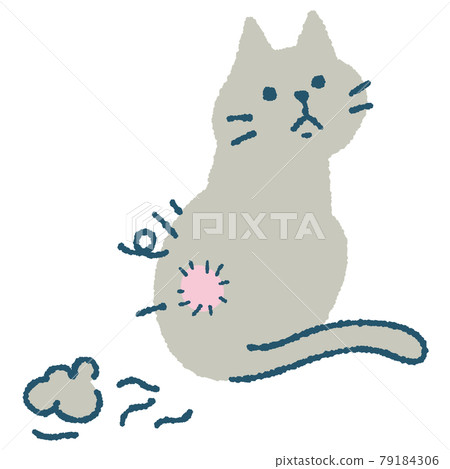 Cat with bad coat Cat with bad coat 79184306