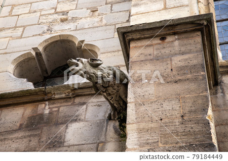 Stone gargoyle on the wall of ancient cathedral 79184449