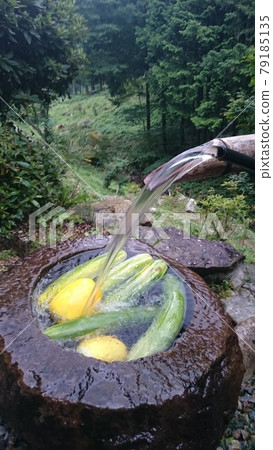 Cool summer vegetables with natural spring water 79185135