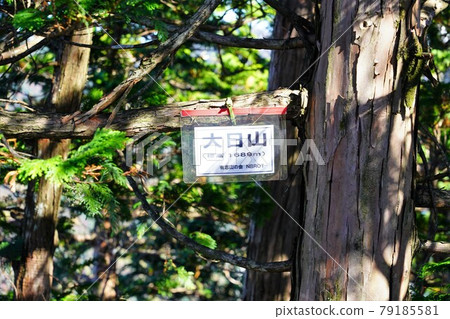 大日山峰會標誌 79185581