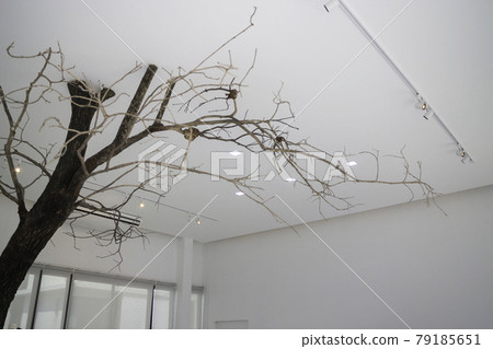 Branches of trees decorated in cafe 79185651