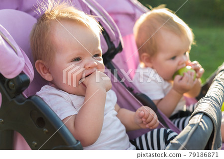 Happy twins in a baby carriage in nature on a sunny day 79186871