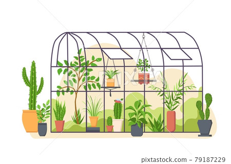 Garden greenhouse. Glass botanical orangery house with cactus and tropical cultivated plants in pots. Cartoon greenery nature vector concept 79187229