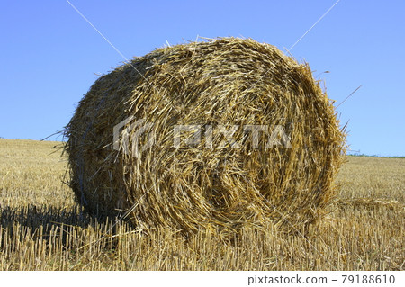 Straw bales 79188610