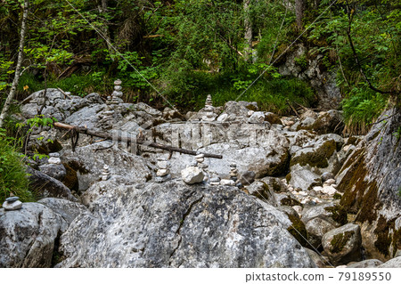 Magic Forest Zauberwald at Lake Hintersee with Creek Ramsauer Ache. National Park Berchtesgadener Land, Germany 79189550