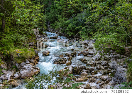 Magic Forest Zauberwald at Lake Hintersee with Creek Ramsauer Ache. National Park Berchtesgadener Land, Germany 79189562