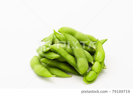 白底毛豆 79189719