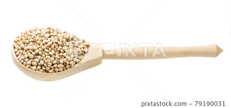 raw unpolished Sorghum grains in wooden spoon raw unpolished Sorghum grains in wooden spoon 79190031
