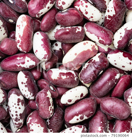 red speckled kidney beans close up 79190064
