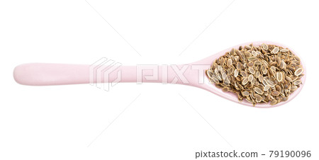 top view of ceramic spoon with dill seeds isolated top view of ceramic spoon with dill seeds isolated 79190096
