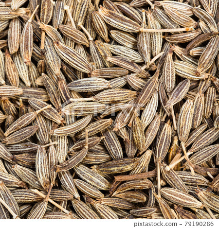 cumin (cuminum cyminum) seeds close up cumin (cuminum cyminum) seeds close up 79190286