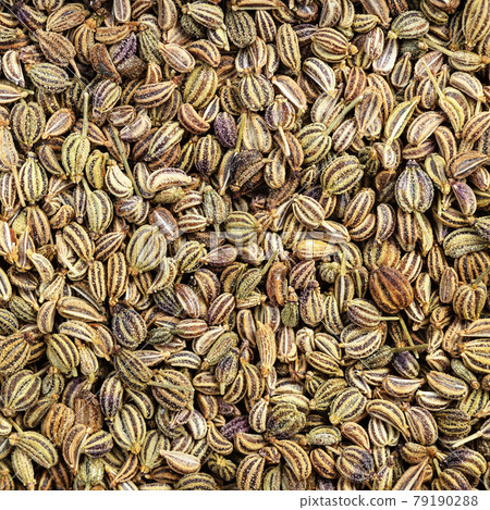 dried Ajwain seeds close up 79190288