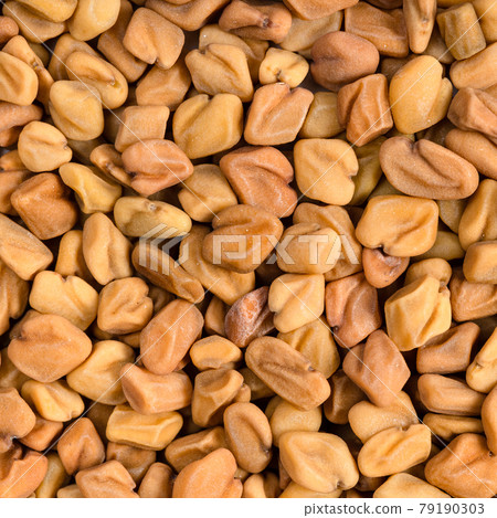whole fenugreek seeds close up whole fenugreek seeds close up 79190303