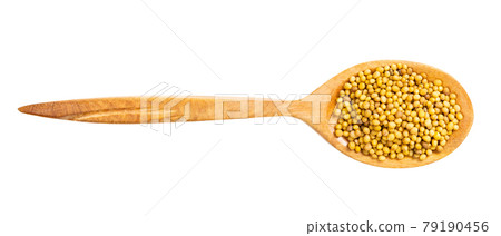 top view of wood spoon with yellow mustard seeds top view of wood spoon with yellow mustard seeds 79190456