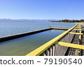 Saltwater outdoor public pool that separates the sea [New Zealand] 79190540