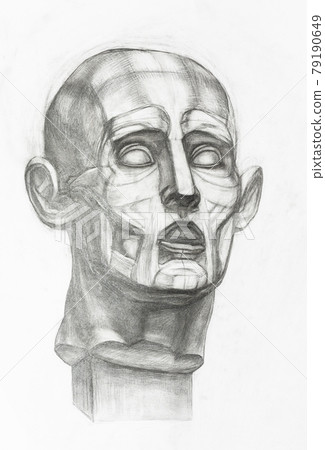 gypsum ecorche head hand-drawn by pencil gypsum ecorche head hand-drawn by pencil 79190649