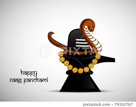 Hindu Festival Naag Panchami 79192767