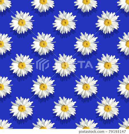 Seamless pattern, chamomile on a blue background. Advertising, postcard. banner. Simple drawing for any surface design. Seamless pattern, chamomile on a blue background. Advertising, postcard. banner. Simple drawing for any surface design. 79193147