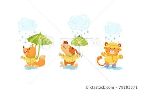 Smiling Animals Wearing Coat Walking on Puddles in Rainy Day with Umbrella Vector Set Smiling Animals Wearing Coat Walking on Puddles in Rainy Day with Umbrella Vector Set 79193571