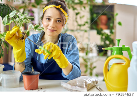 Cheerful woman in yellow rubber gloves smiling at camera, holding seedling and using scissors for seasonal pruning or trimming of plants at home 79194627