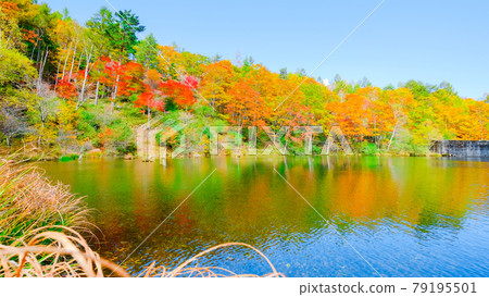 Yachiho Kogen Nature Park (Autumn): Lake Yuki Yachiho Kogen Nature Park (Autumn): Lake Yuki 79195501