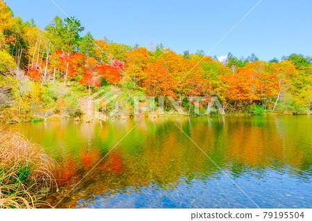 八千代高原自然公園（秋天）：遊獵湖 79195504