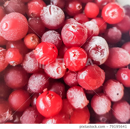 Close-up of frozen cranberries and lingonberries, berry food background, healthy natural products Close-up of frozen cranberries and lingonberries, berry food background, healthy natural products 79195641