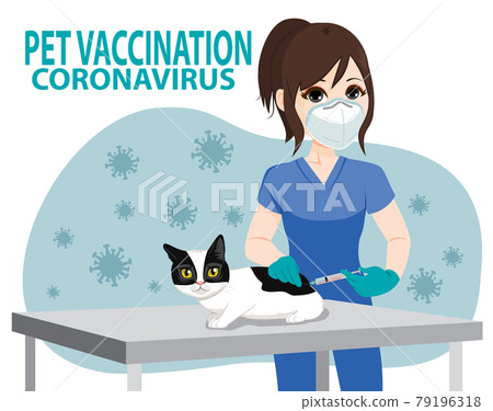 Female veterinarian vaccinating cat on coronavirus pet vaccination campaign concept Female veterinarian vaccinating cat on coronavirus pet vaccination campaign concept 79196318