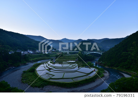 赤島的水稻梯田 赤島的水稻梯田 79196331