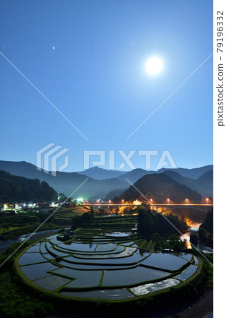 赤島的水稻梯田 赤島的水稻梯田 79196332