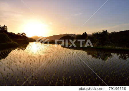 Rice terraces of Uda Yasuda 79196338