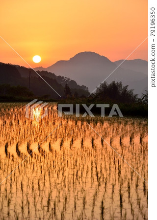 Rice terraces of Uda Yasuda Rice terraces of Uda Yasuda 79196350