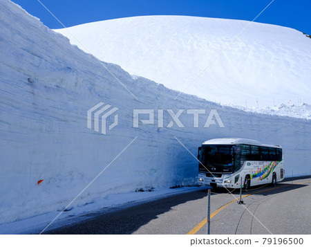 富山/阿爾卑斯路線/雪大谷和高原巴士 富山/阿爾卑斯路線/雪大谷和高原巴士 79196500