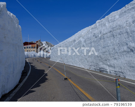 富山 / 阿爾卑斯路線 / 雪道 富山 / 阿爾卑斯路線 / 雪道 79196539