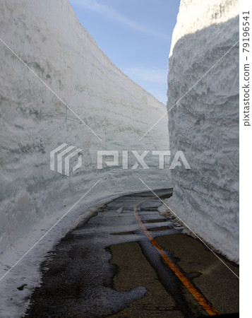 富山 / 阿爾卑斯路線 / 雪道 79196541