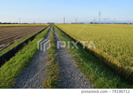 農場公路和鄉村 農場公路和鄉村 79196712