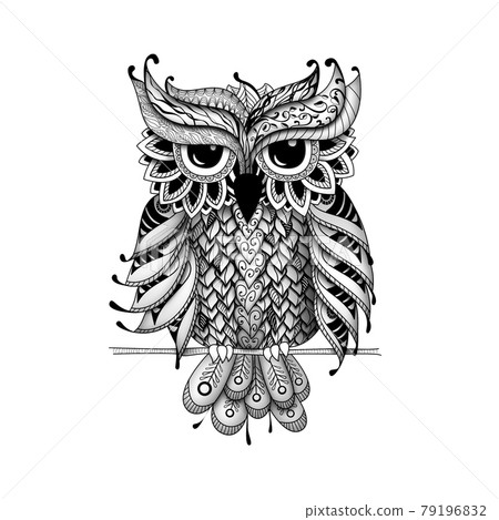 Owl in dudling style Owl in dudling style 79196832