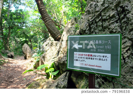 [沖繩] 大石林山徒步路線 79196838