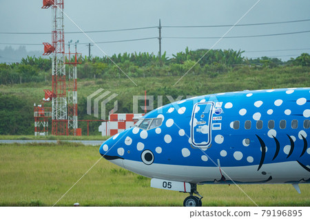 Okinawa Prefecture Ishigaki City Ishigaki Island New Ishigaki Airport Remote Island Resort Island Heaven Summer Holiday Sightseeing Travel Airplane Japan Airlines 79196895