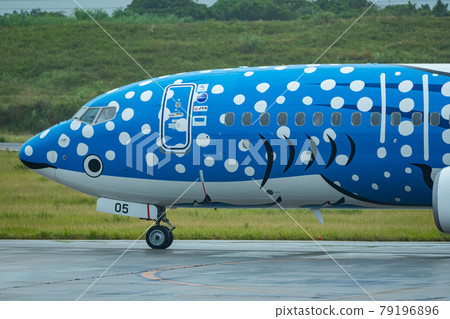 Okinawa Prefecture Ishigaki City Ishigaki Island New Ishigaki Airport Remote Island Resort Island Heaven Summer Holiday Sightseeing Travel Airplane Japan Airlines 79196896