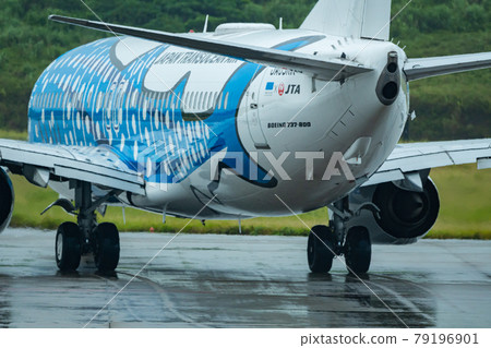 Okinawa Prefecture Ishigaki City Ishigaki Island New Ishigaki Airport Remote Island Resort Island Heaven Summer Holiday Sightseeing Travel Airplane Japan Airlines 79196901