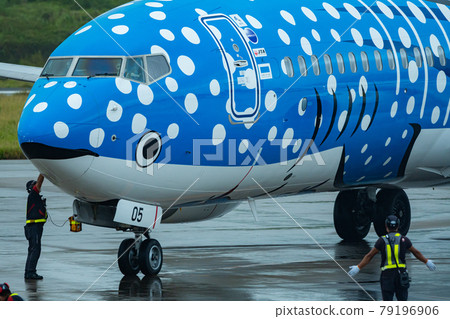 沖繩縣 石垣市 石垣島 新石垣機場 偏遠島嶼 度假勝地 Island Heaven 暑假觀光旅遊 飛機 日本航空 79196906