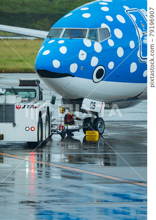 Okinawa Prefecture Ishigaki City Ishigaki Island New Ishigaki Airport Remote Island Resort Island Heaven Summer Holiday Sightseeing Travel Airplane Japan Airlines 79196907