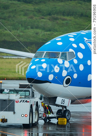 Okinawa Prefecture Ishigaki City Ishigaki Island New Ishigaki Airport Remote Island Resort Island Heaven Summer Holiday Sightseeing Travel Airplane Japan Airlines 79196908