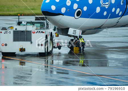 Okinawa Prefecture Ishigaki City Ishigaki Island New Ishigaki Airport Remote Island Resort Island Heaven Summer Holiday Sightseeing Travel Airplane Japan Airlines 79196910