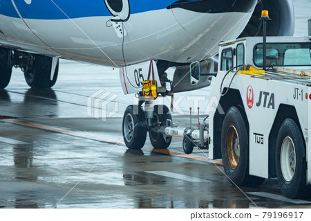 Okinawa Prefecture Ishigaki City Ishigaki Island New Ishigaki Airport Remote Island Resort Island Heaven Summer Holiday Sightseeing Travel Airplane Japan Airlines 79196917