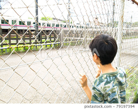 孩子們看著火車 79197394