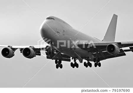 An appendage 79197690